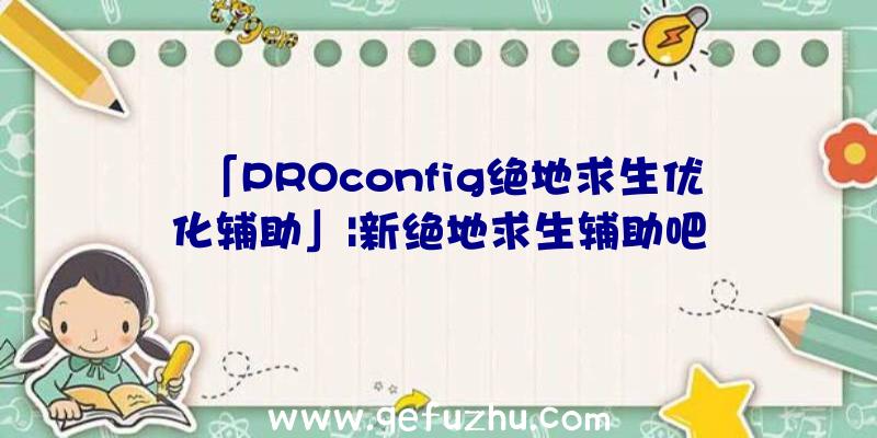 「PROconfig绝地求生优化辅助」|新绝地求生辅助吧